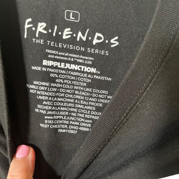 Official Friends The Television Series Ross Rachel Pivot Couch Episode - Picture 4 of 6